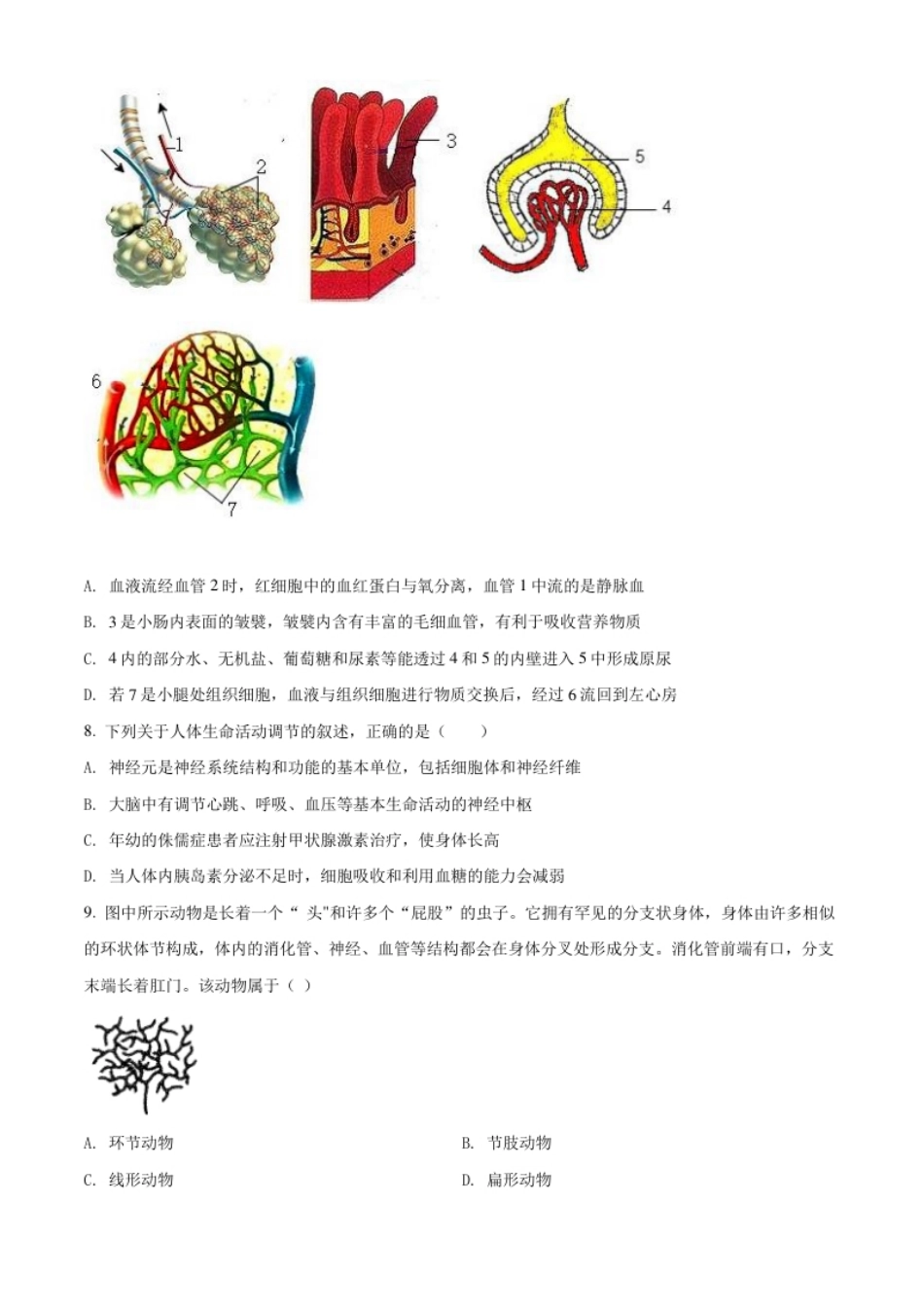 精品解析：山东省泰安市2021年中考生物试题（原卷版）.pdf_第3页