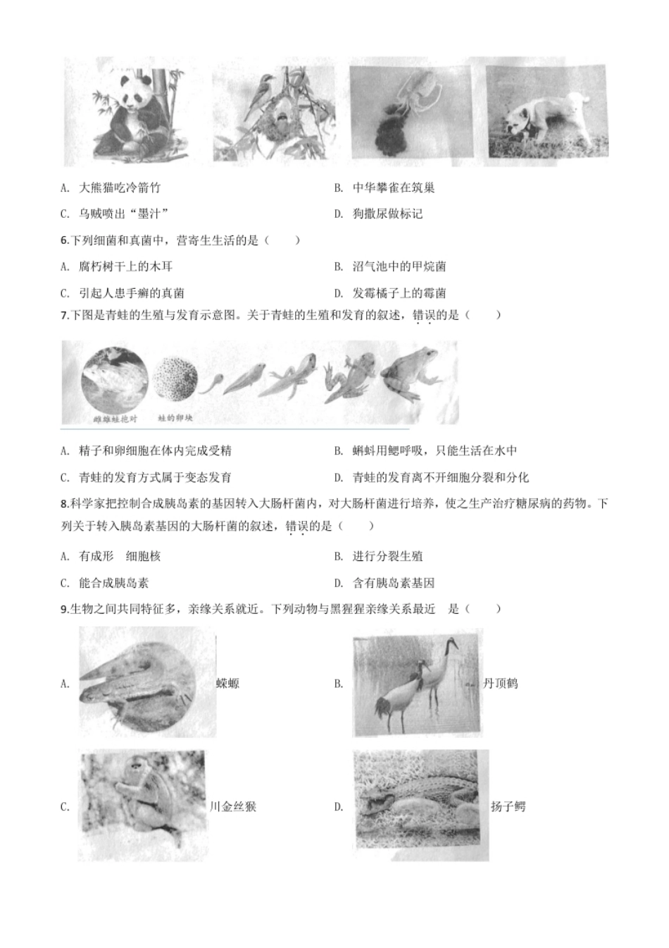 精品解析：安徽省2020年中考试题（原卷版）.pdf_第2页