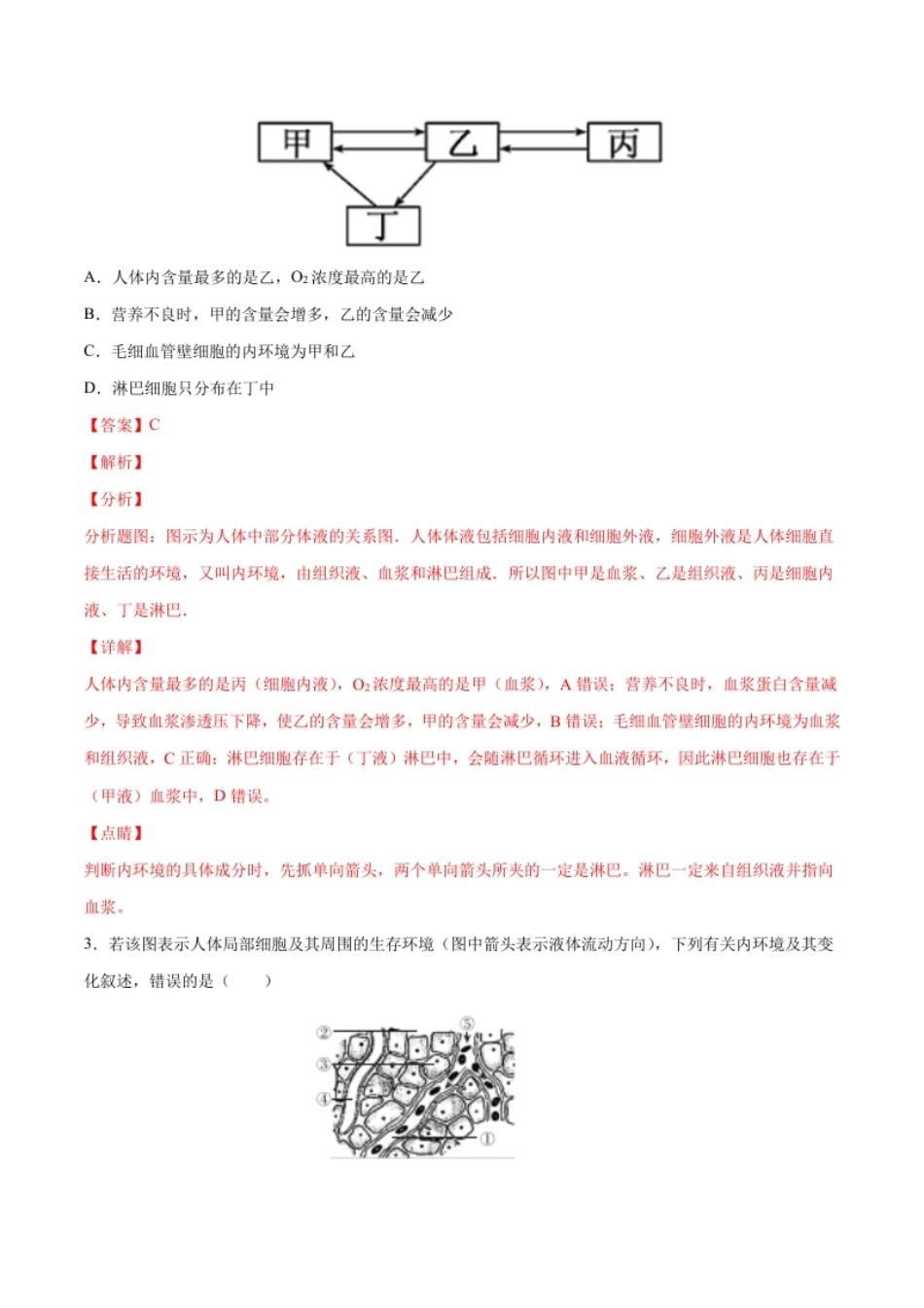 高二生物上学期期中测试卷02（人教版2019选择性必修1）（解析版）.pdf_第2页