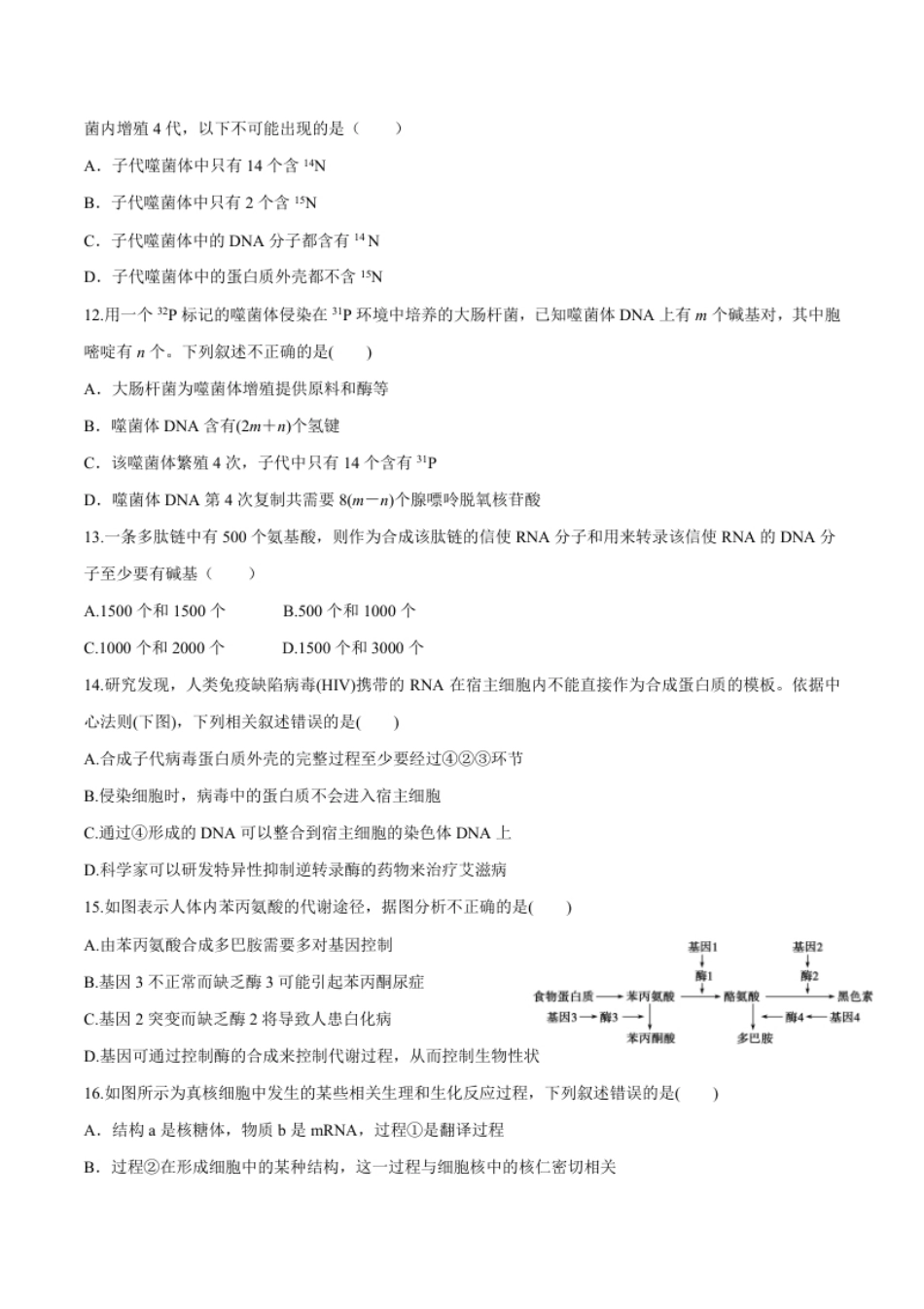 高一生物下学期期末测试卷03（新教材必修二）（原卷版）.pdf_第3页