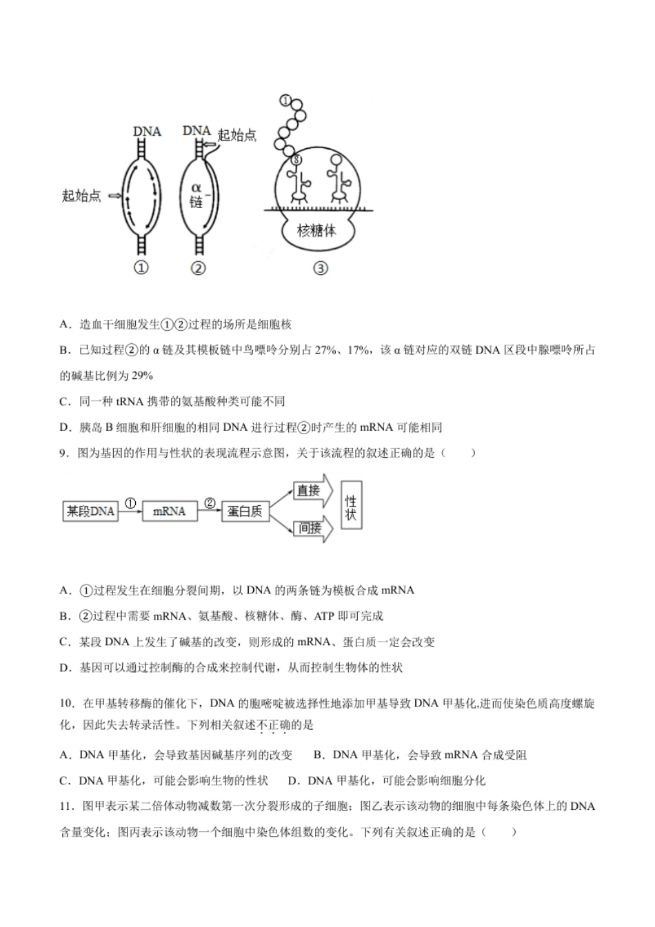 期末押题02-高一生物下学期期末专项复习（人教版2019必修2）（原卷版）.pdf_第3页