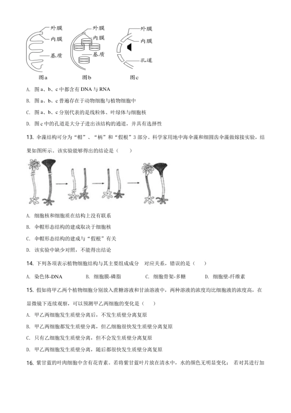 天津市东丽区高一上学期期末生物试题（原卷版）.pdf_第3页