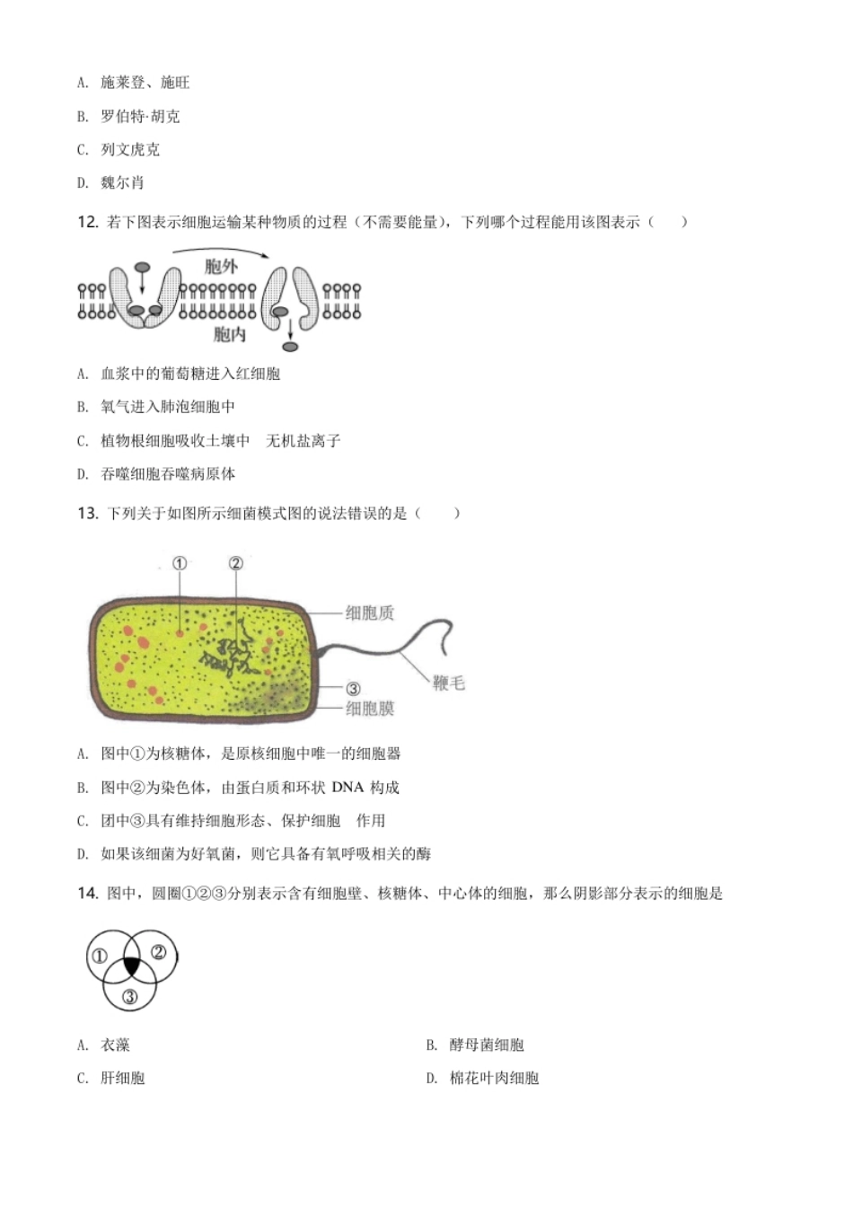 江苏省南京市南京师大附中高一上学期期末生物试题（原卷版）.pdf_第3页