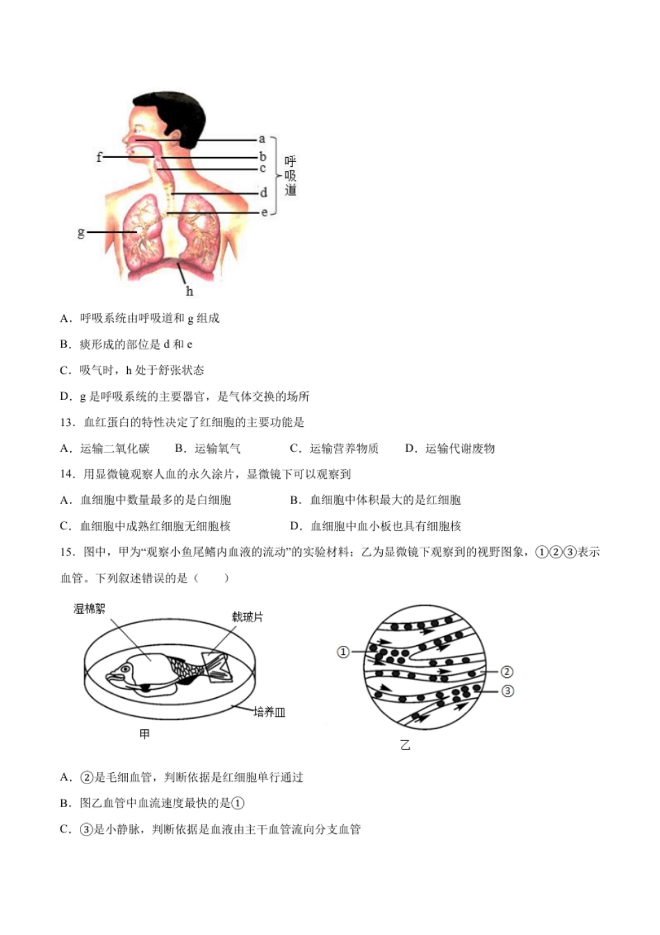 2020-2021学年七年级生物下学期期末仿真模拟冲刺卷（人教版）01（原卷版）.pdf_第3页