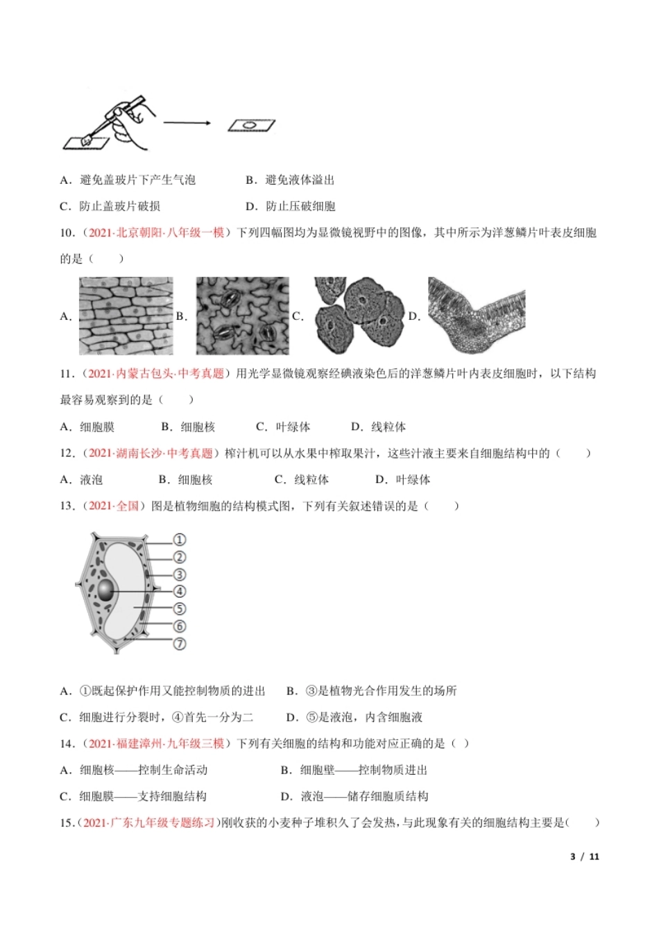 第02单元第01章细胞是生命活动的基本单位单元测试（B卷·提升能力）（原卷版）.pdf_第3页