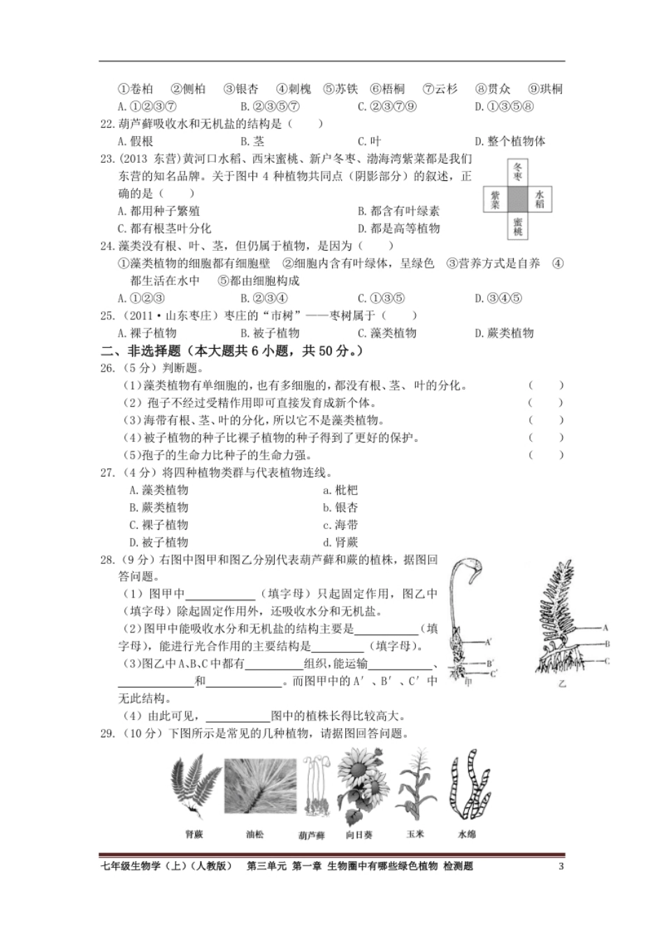 单元测试一.pdf_第3页