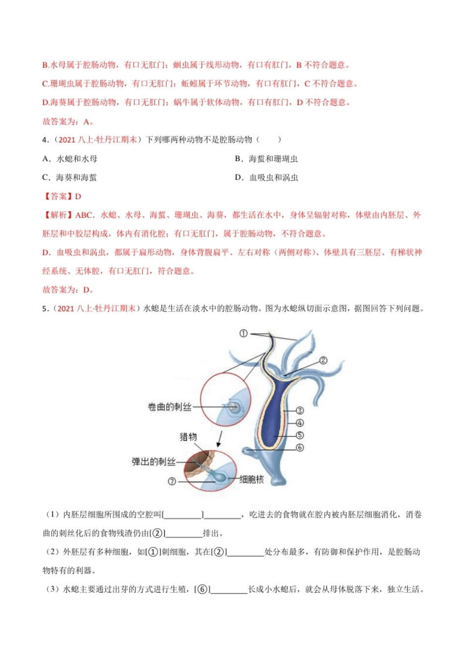 第一章动物的主要类群（A卷·知识通关练）（解析版）.pdf_第2页