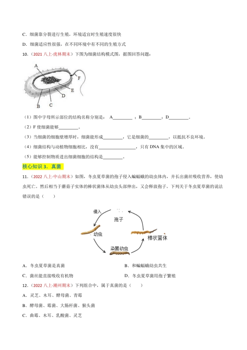 第四、五章细菌、真菌和病毒（A卷·知识通关练）（原卷版）.pdf_第3页