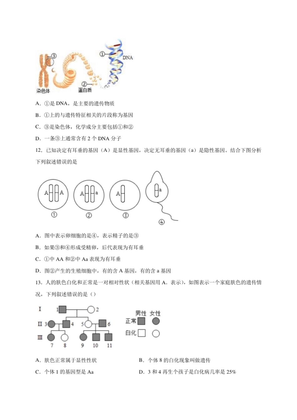 第二单元生物的遗传与变异（选拔卷）-【单元测试】2021-2022学年八年级生物下册尖子生选拔卷（人教版）（原卷版）.pdf_第3页