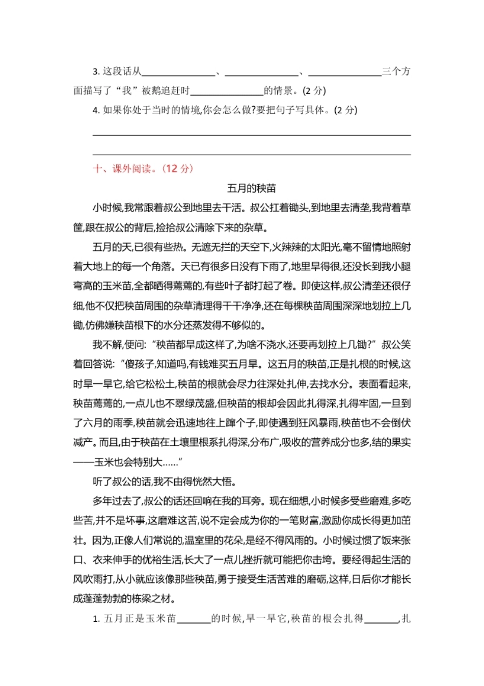 小学四年级部编版四年级语文上册-第六单元提升练习.pdf_第3页