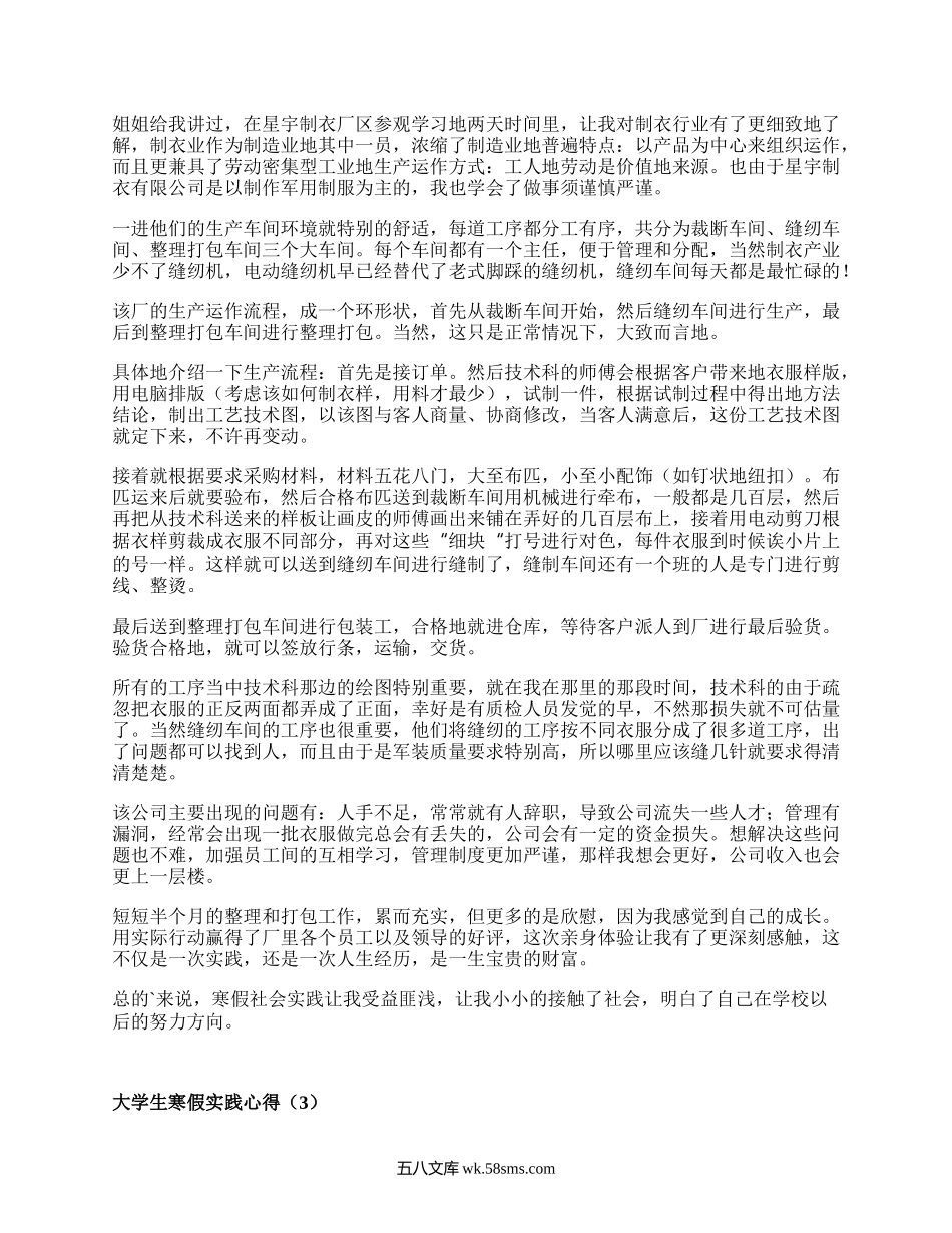 大学生寒假实践心得（实用20篇）.docx_第2页