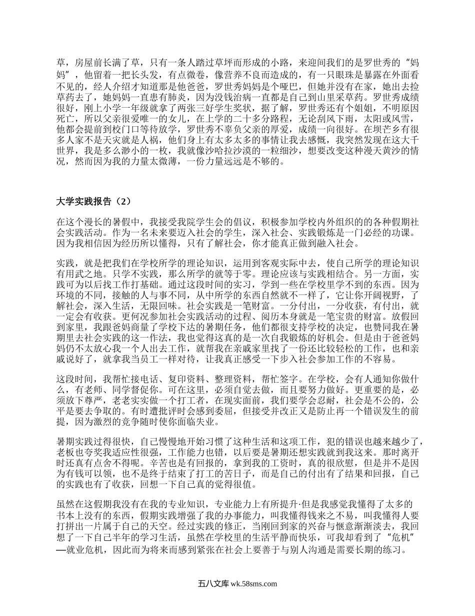 大学实践报告（优选16篇）.docx_第3页