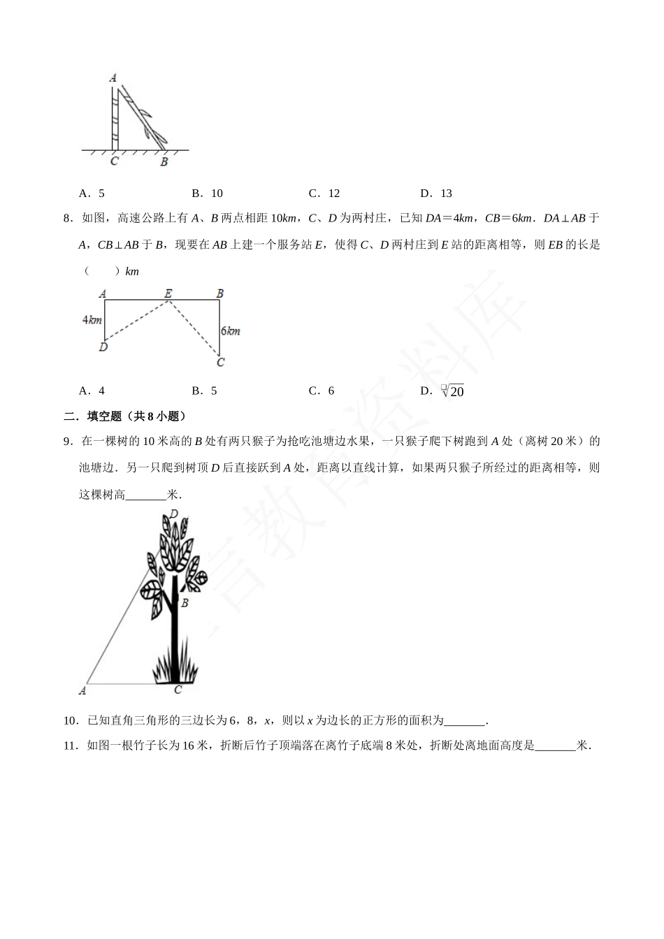 17-勾股定理与分类讨论及方程思想-专题培优.docx_第2页