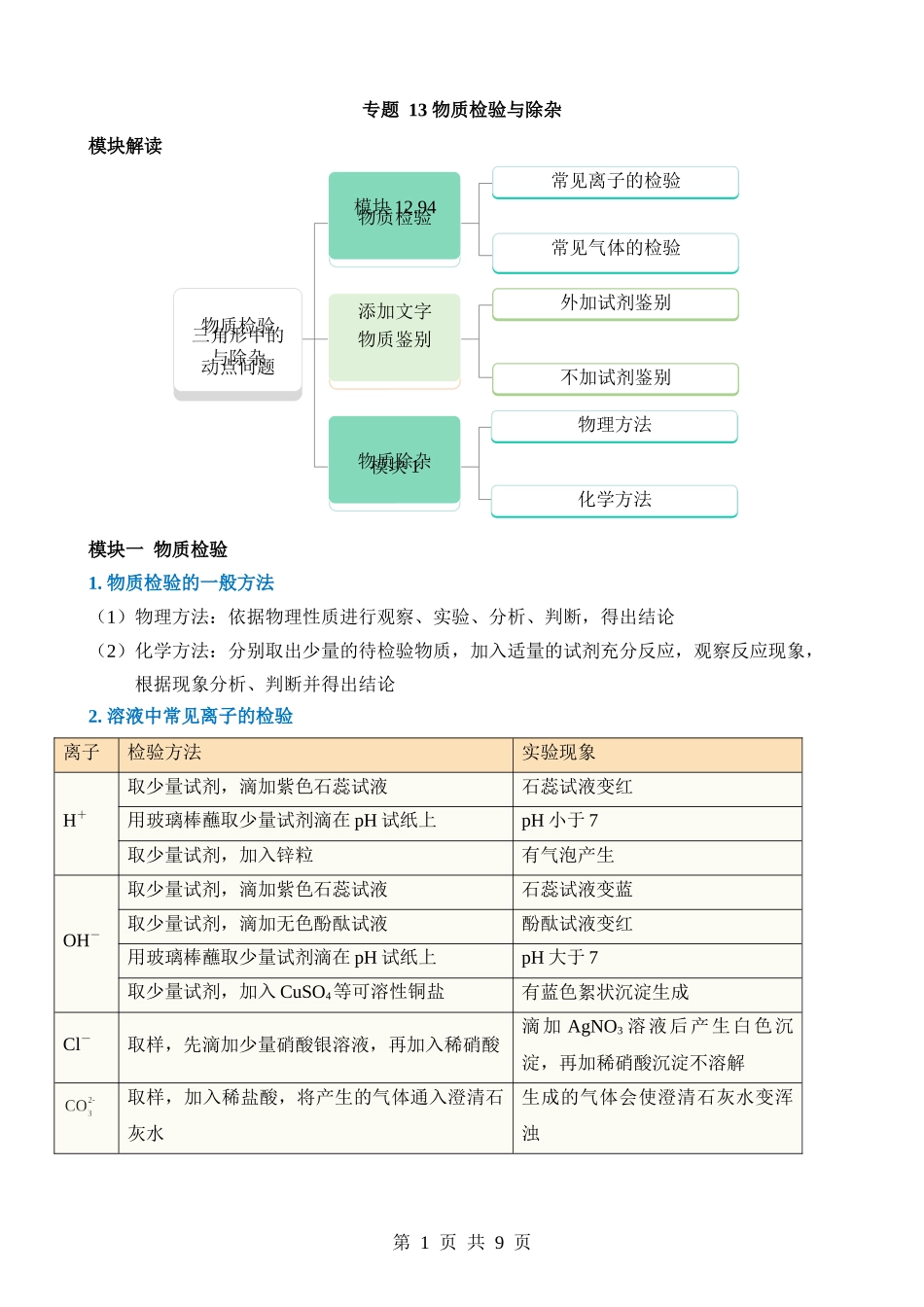 专题13 物质检验与除杂.docx_第1页