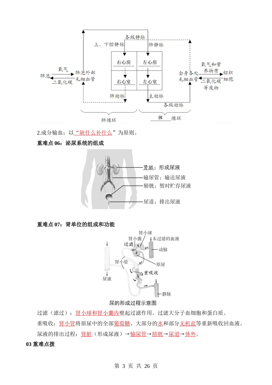 重难点07 人体内物质的运输和废物的排出.docx_第3页