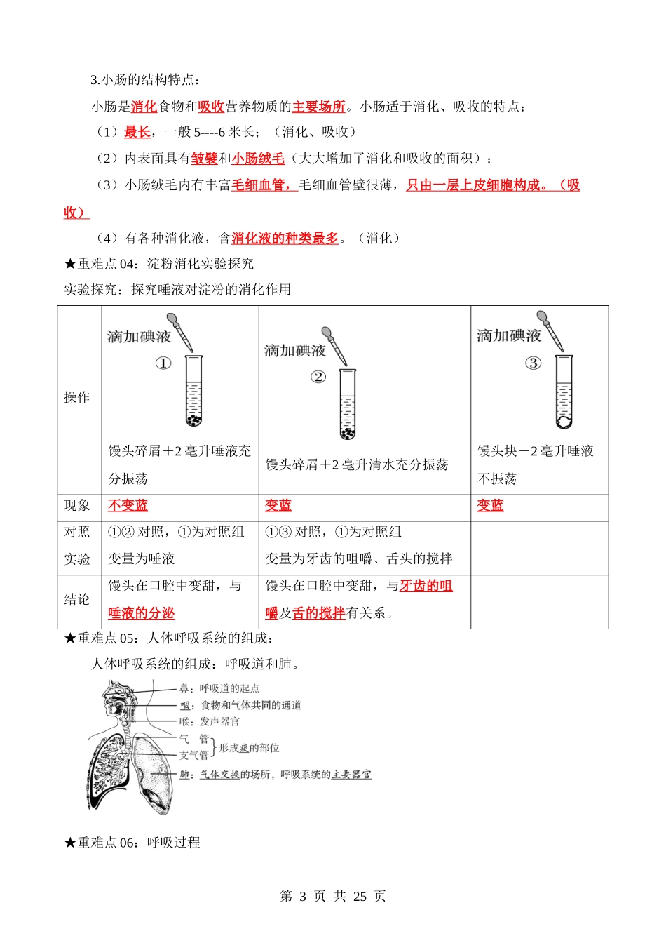 重难点06 人体的营养和呼吸.docx_第3页