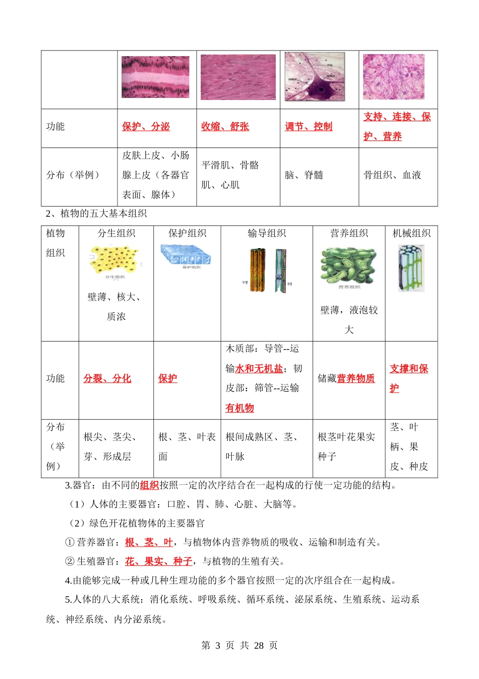 重难点02 生物体的结构层次.docx_第3页