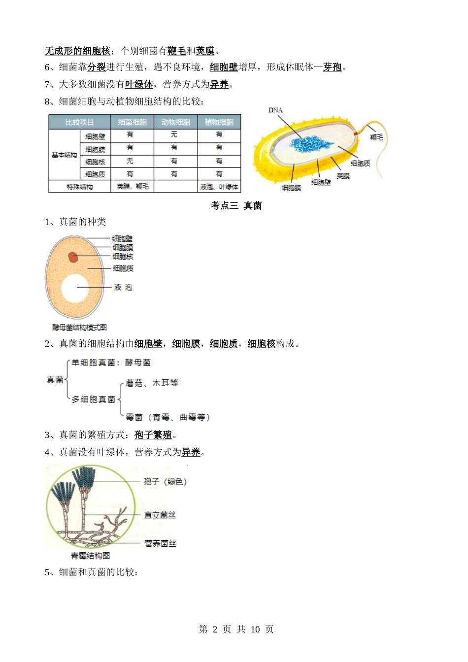 清单10 细菌、真菌和病毒（6大考点+2大高频命题点）.docx_第2页