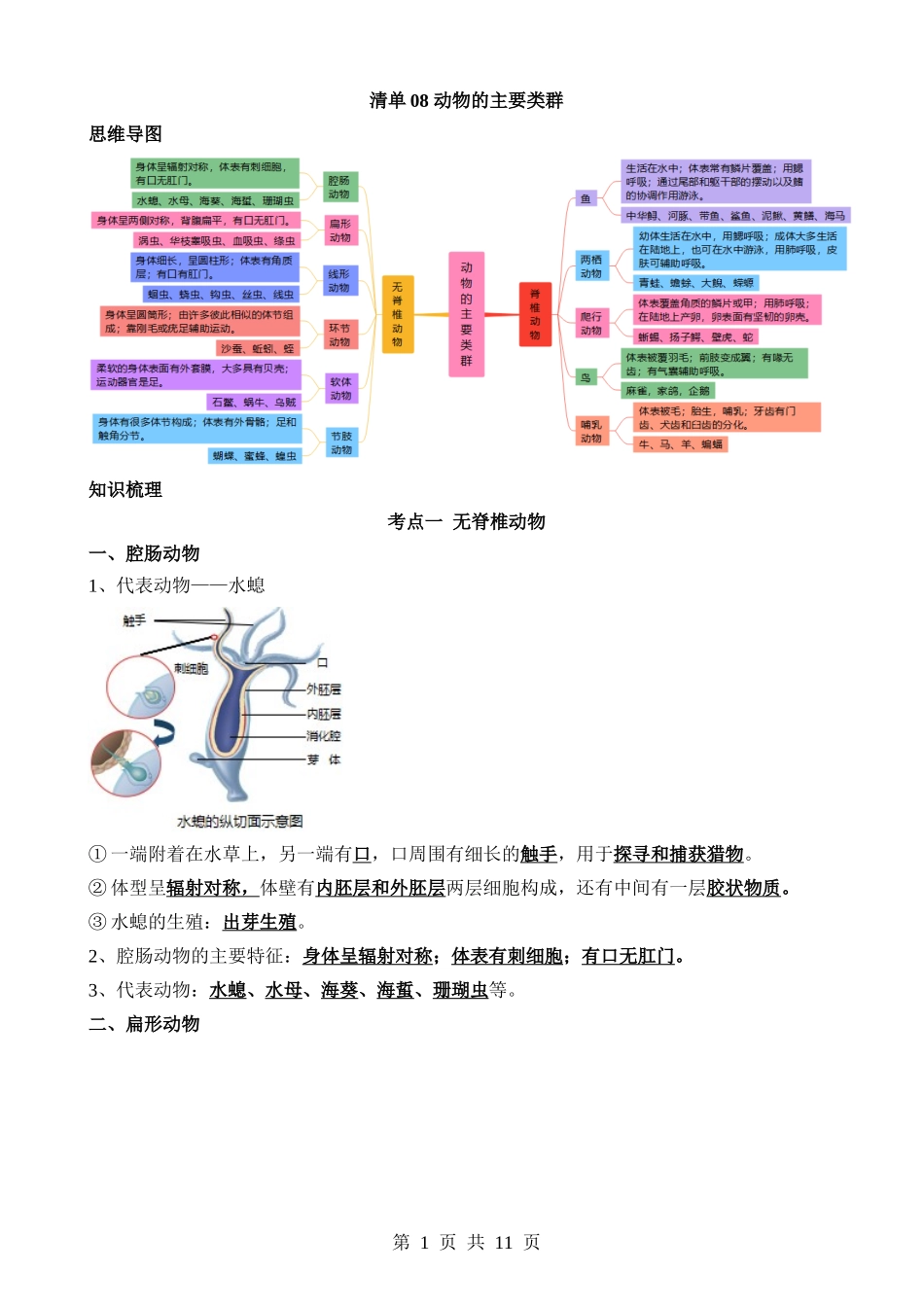 清单08 动物的主要类群（2大考点+3大高频命题点）.docx_第1页