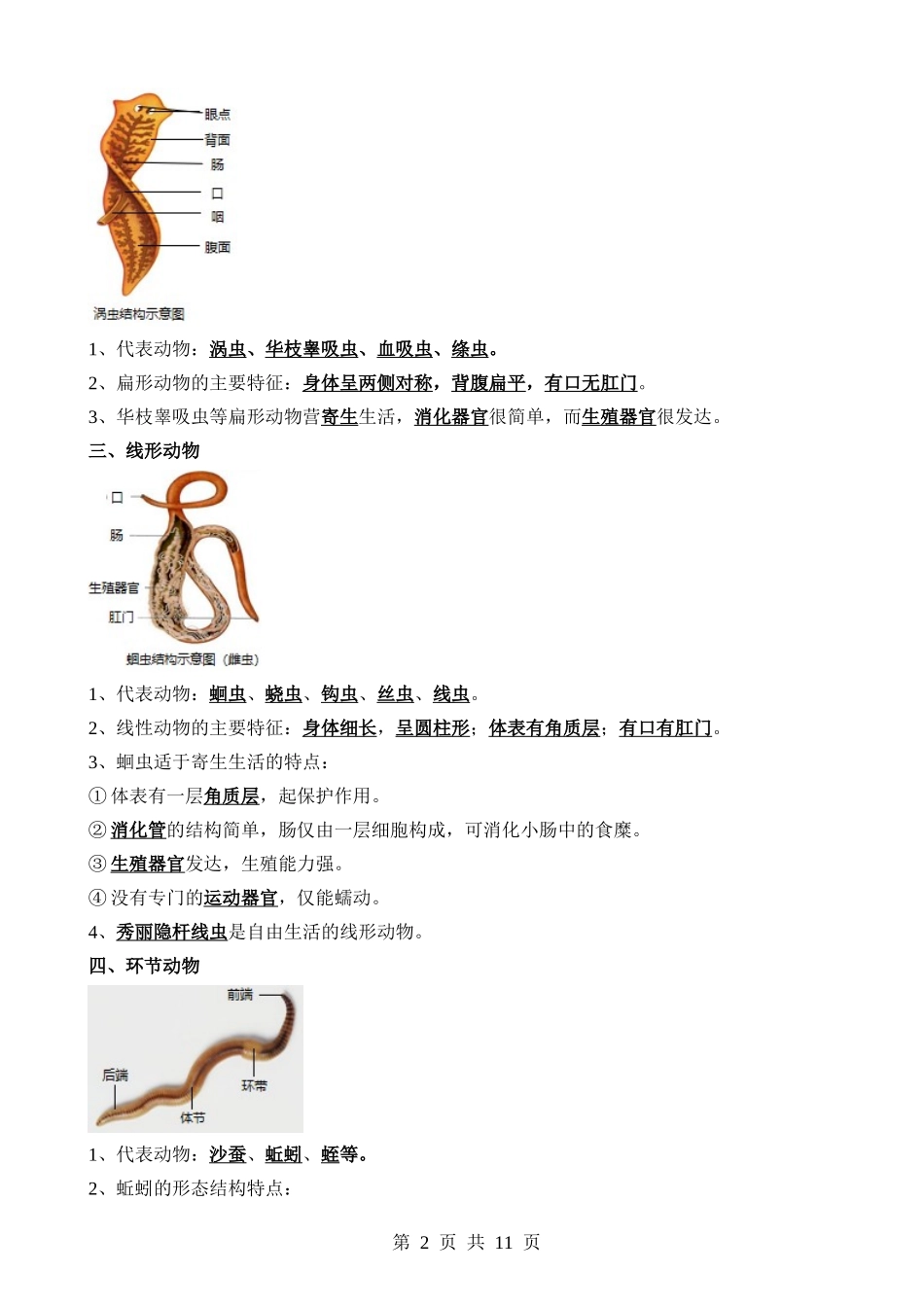 清单08 动物的主要类群（2大考点+3大高频命题点）.docx_第2页