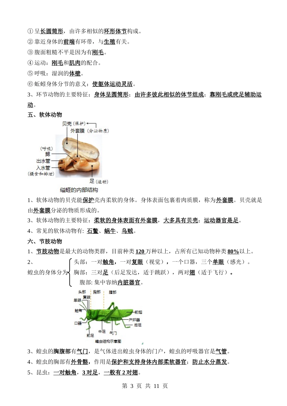 清单08 动物的主要类群（2大考点+3大高频命题点）.docx_第3页