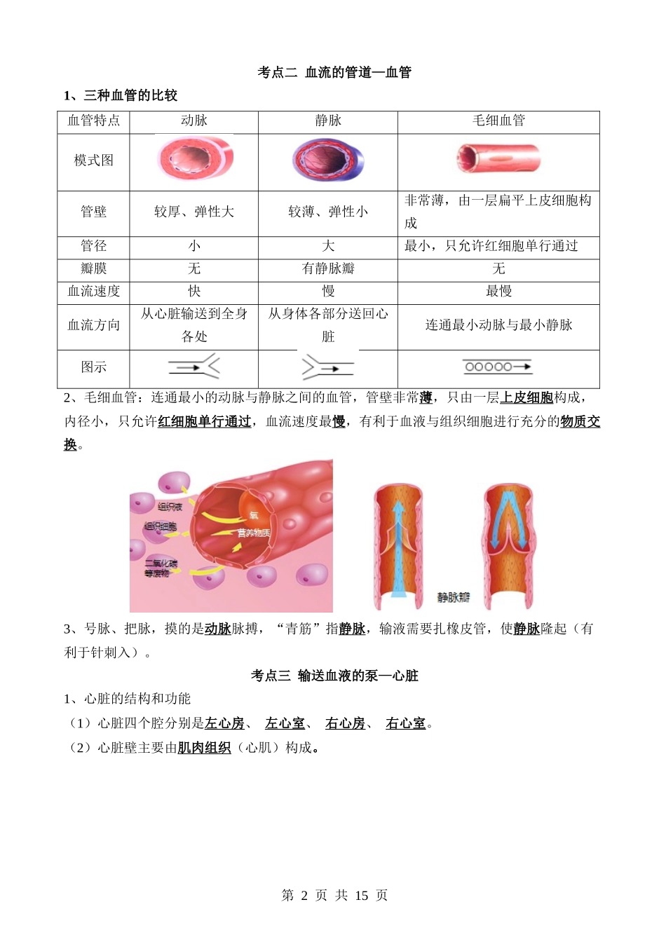 清单06 人体内的物质运输与废物排出（6大考点+6大高频命题点）.docx_第2页