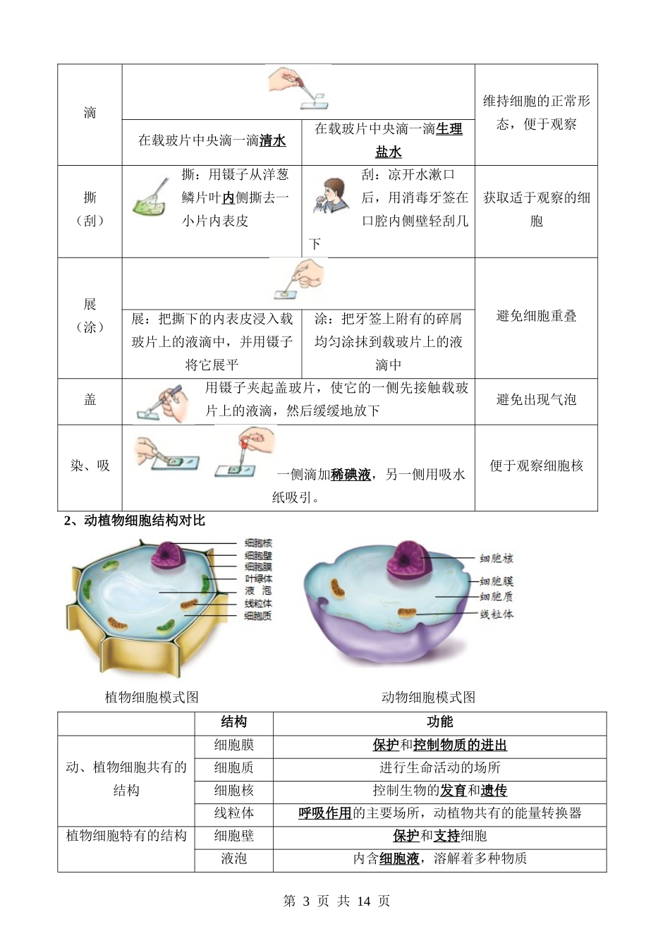 清单02 生物体的结构层次（6大考点+6大高频命题点）.docx_第3页