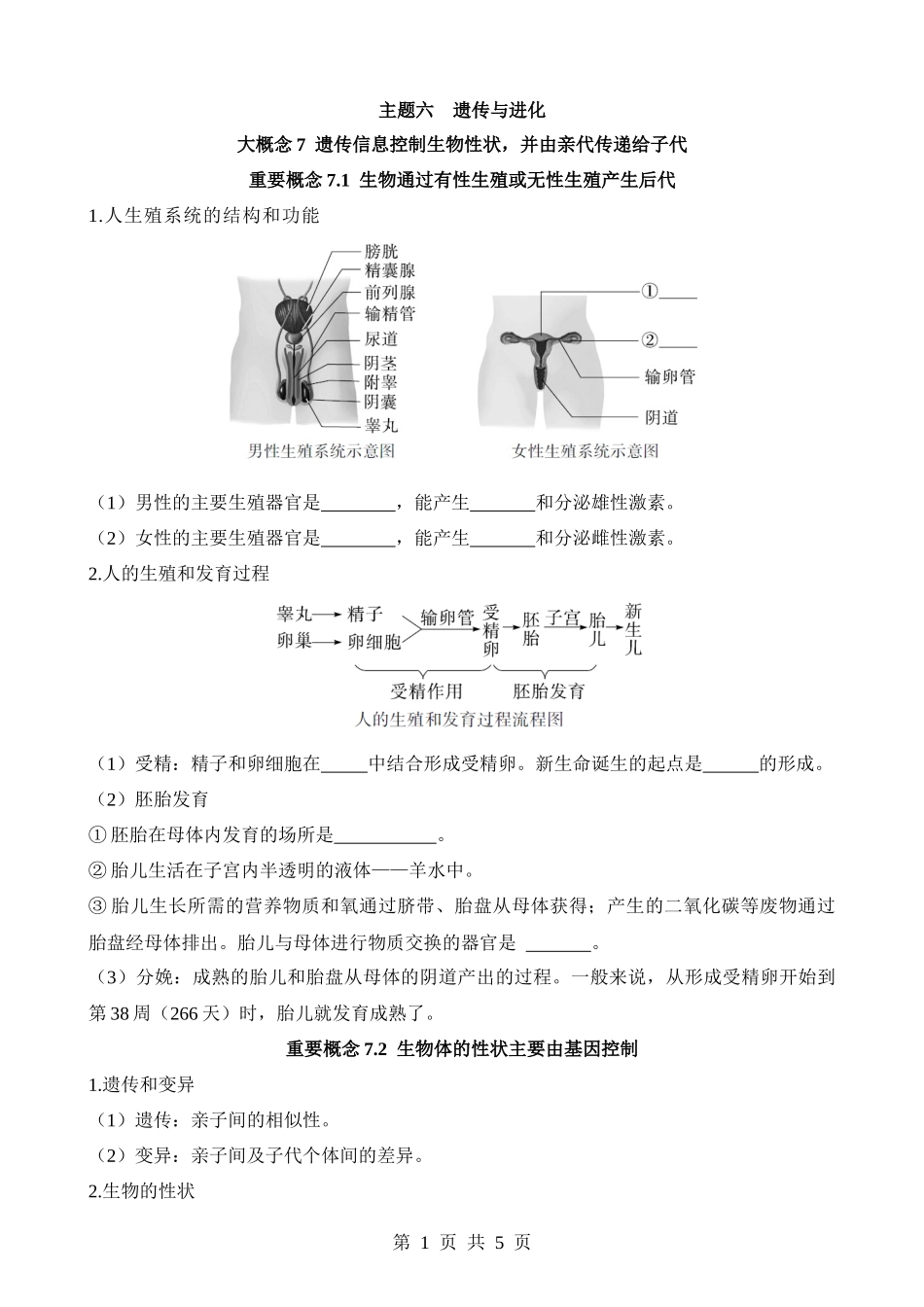 主题06 遗传与进化（重要概念）.docx_第1页