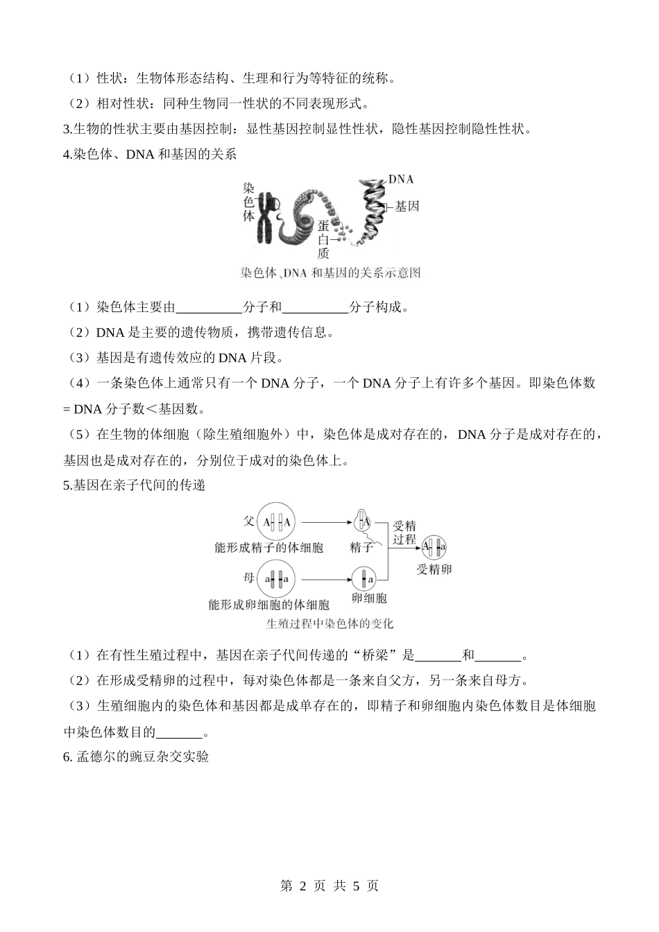 主题06 遗传与进化（重要概念）.docx_第2页