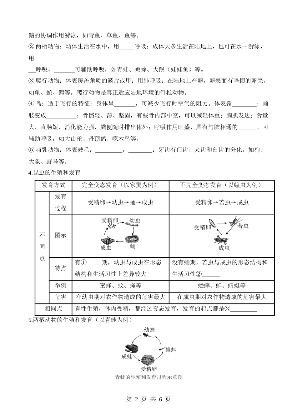 主题02 生物的多样性（重要概念）.docx_第2页