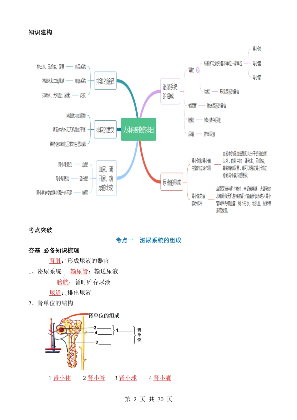 专题13 人体内废物的排出（讲义）.docx_第2页