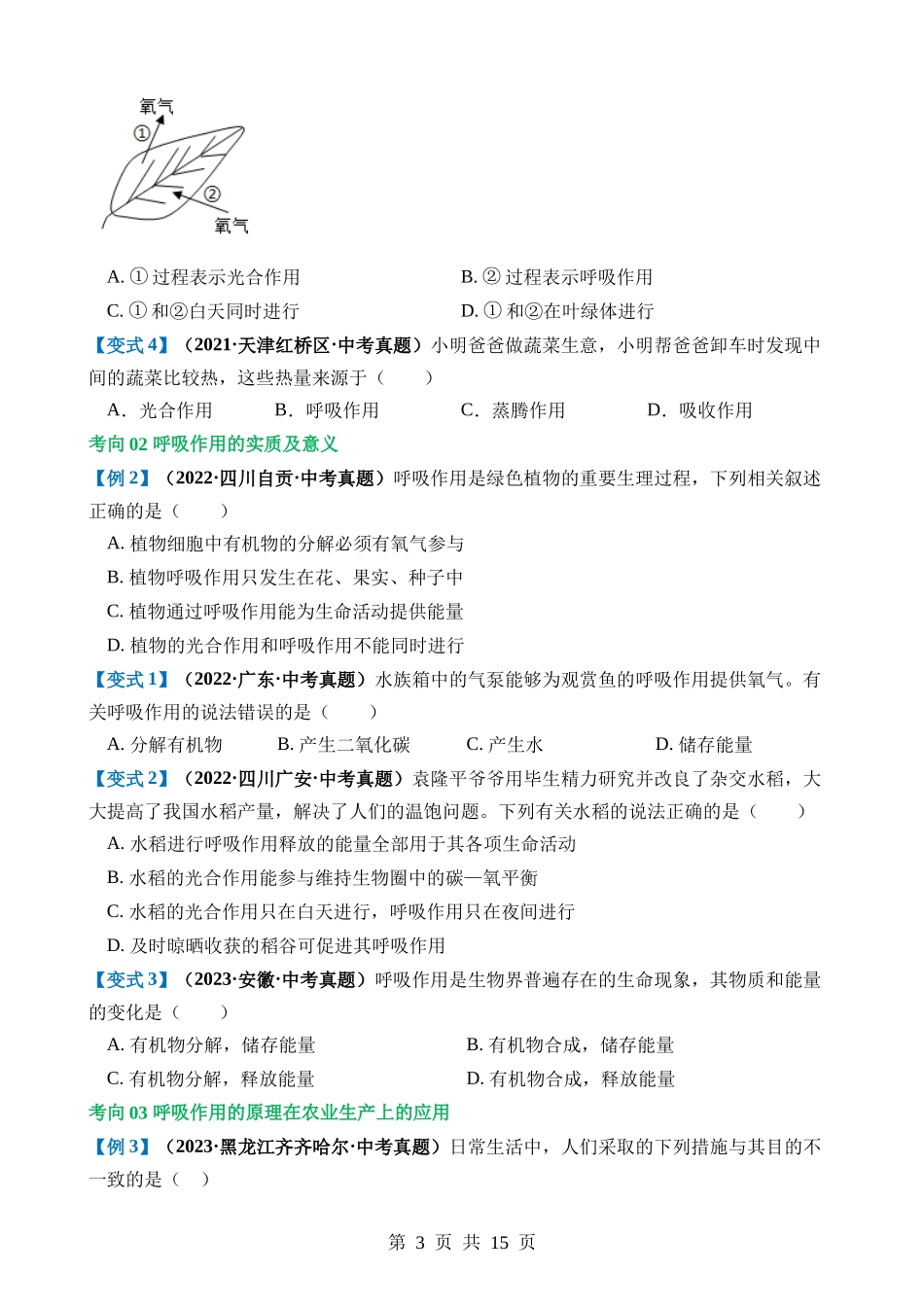 专题08 绿色植物的呼吸作用（讲义）.docx_第3页