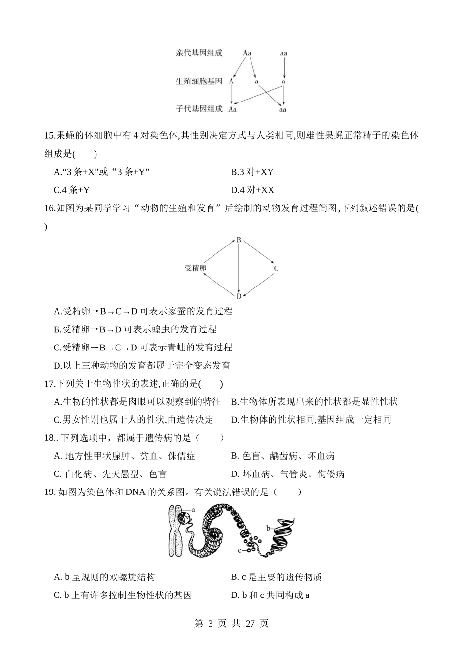 测试06 生物圈中生命的延续和发展.docx_第3页