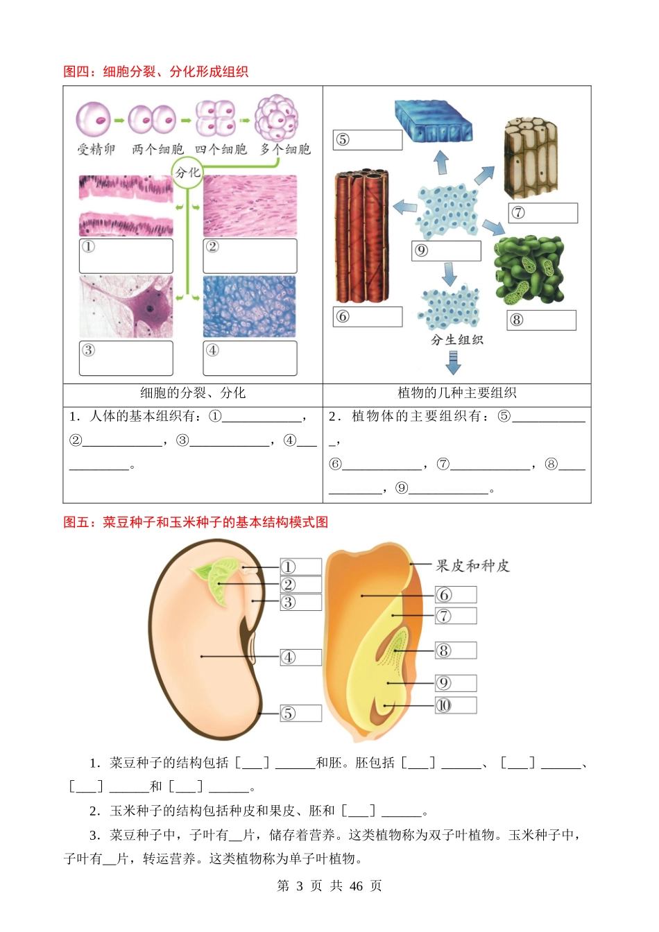 初中生物必记课本彩色母图.docx_第3页