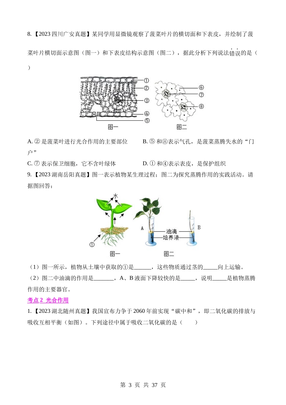 专题05 绿色植物的蒸腾作用、光合作用和呼吸作用（第1期）.docx_第3页