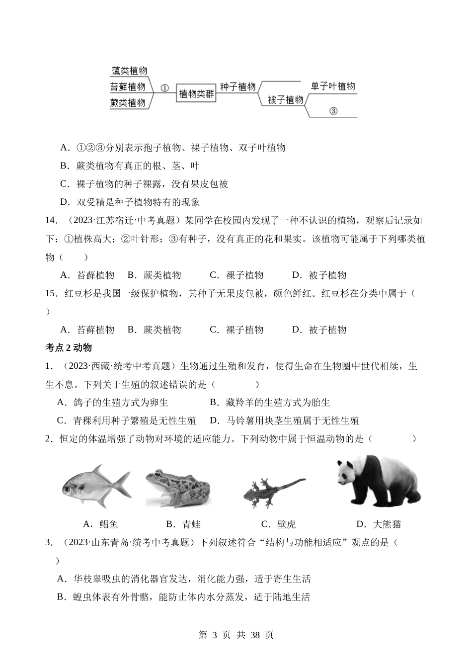 专题11 植物、动物和微生物类群（第3期）.docx_第3页