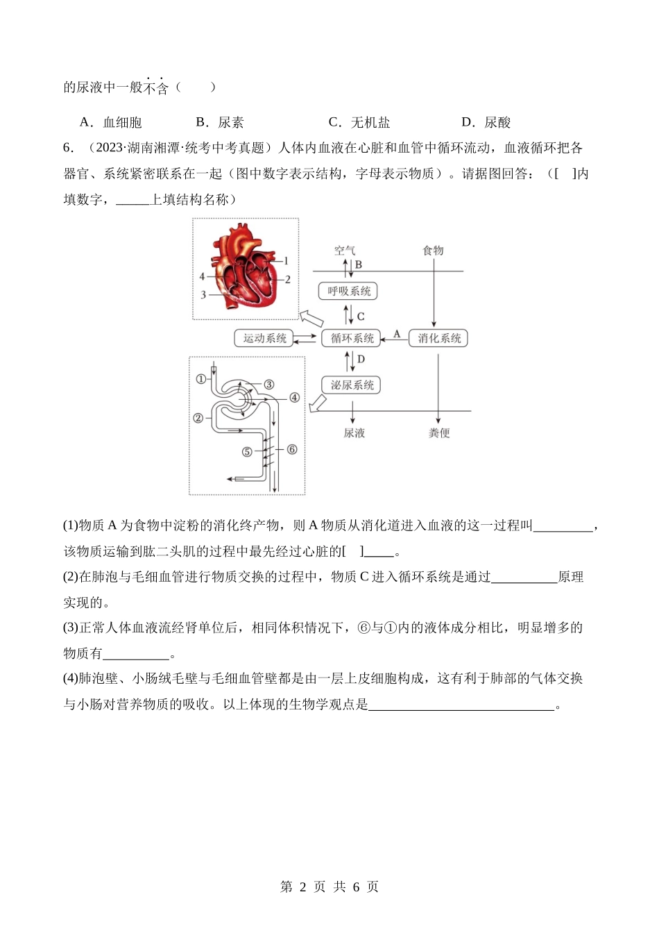 专题08 人体内废物的排出（第3期）.docx_第2页