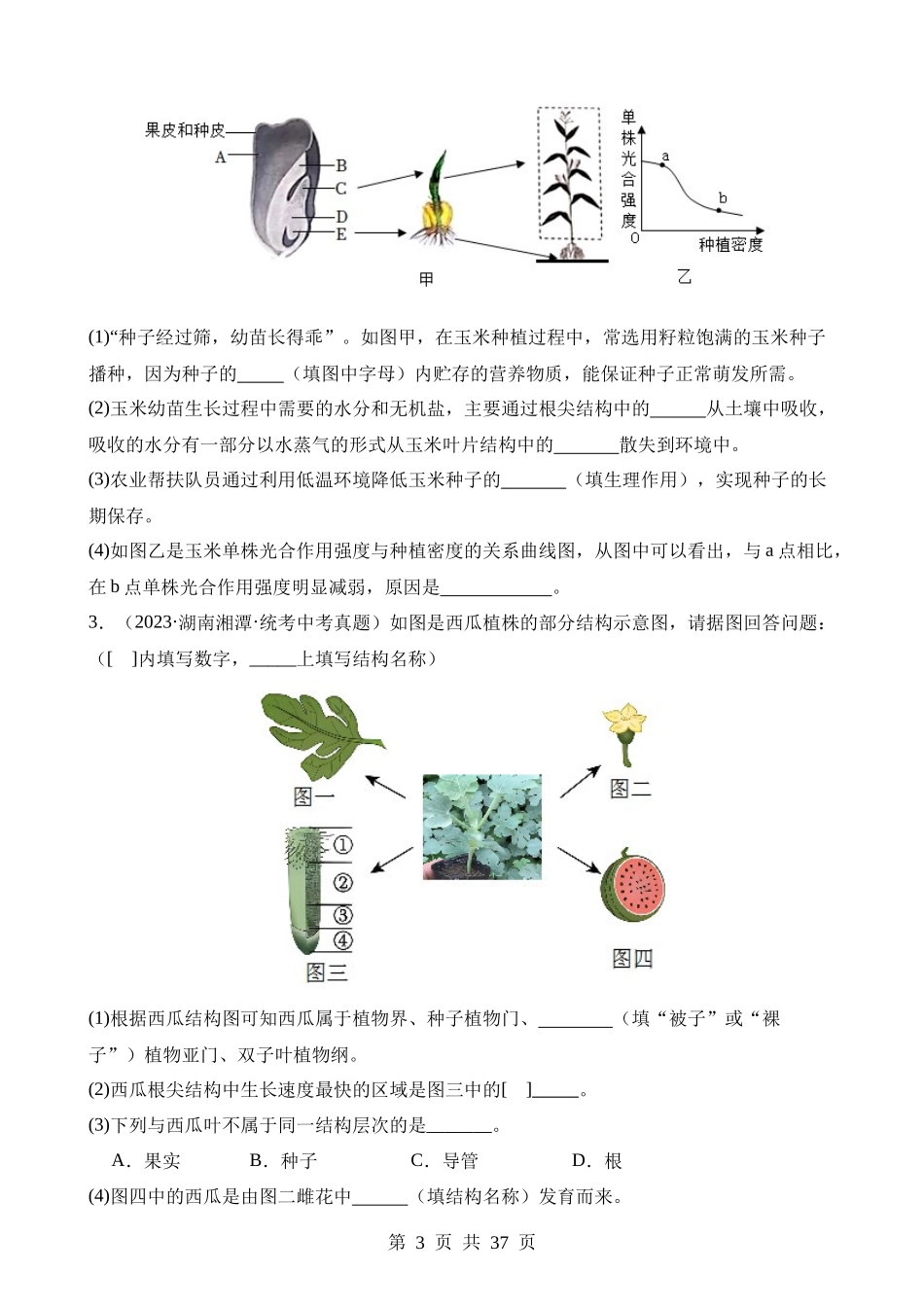 专题03 绿色开花植物的一生（第3期）.docx_第3页