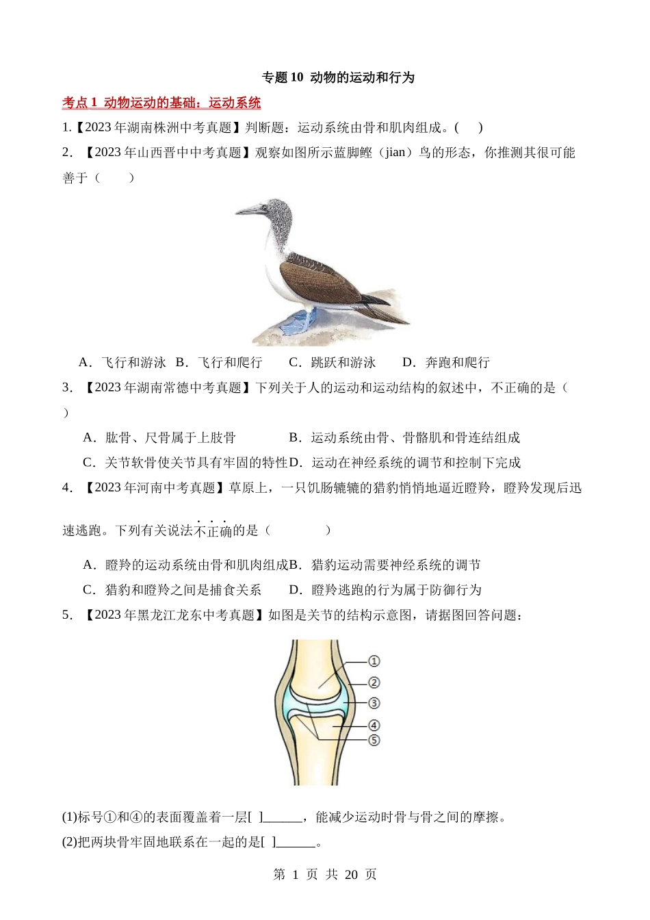 专题10 动物的运动和行为（第2期）.docx_第1页