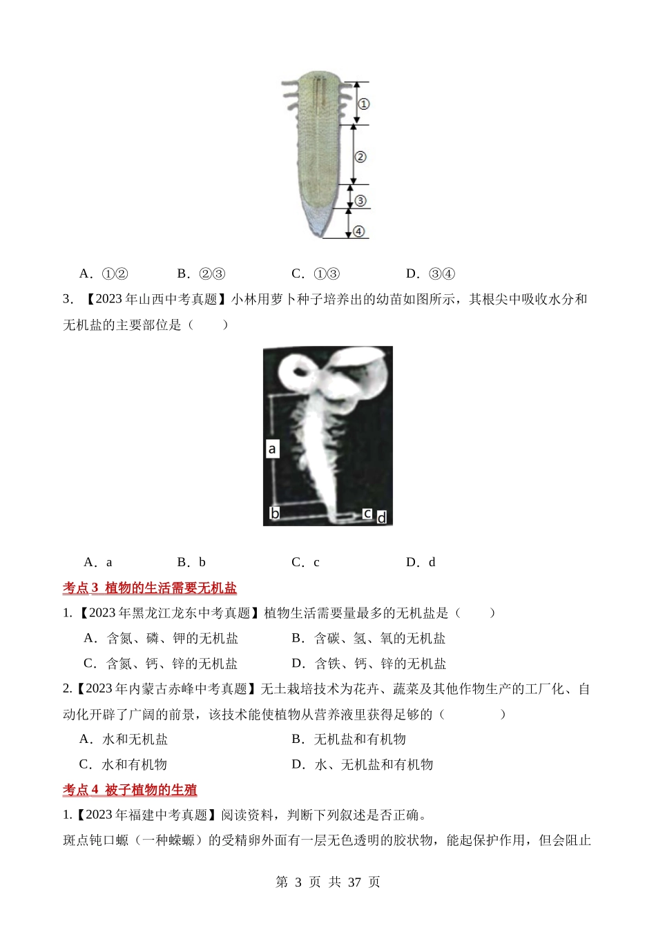 专题03 绿色开花植物的一生（第2期）.docx_第3页