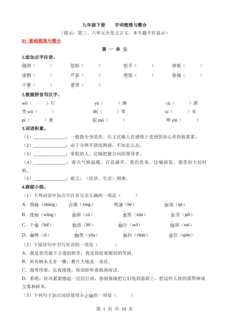 06 九下字词梳理与整合.docx_第1页