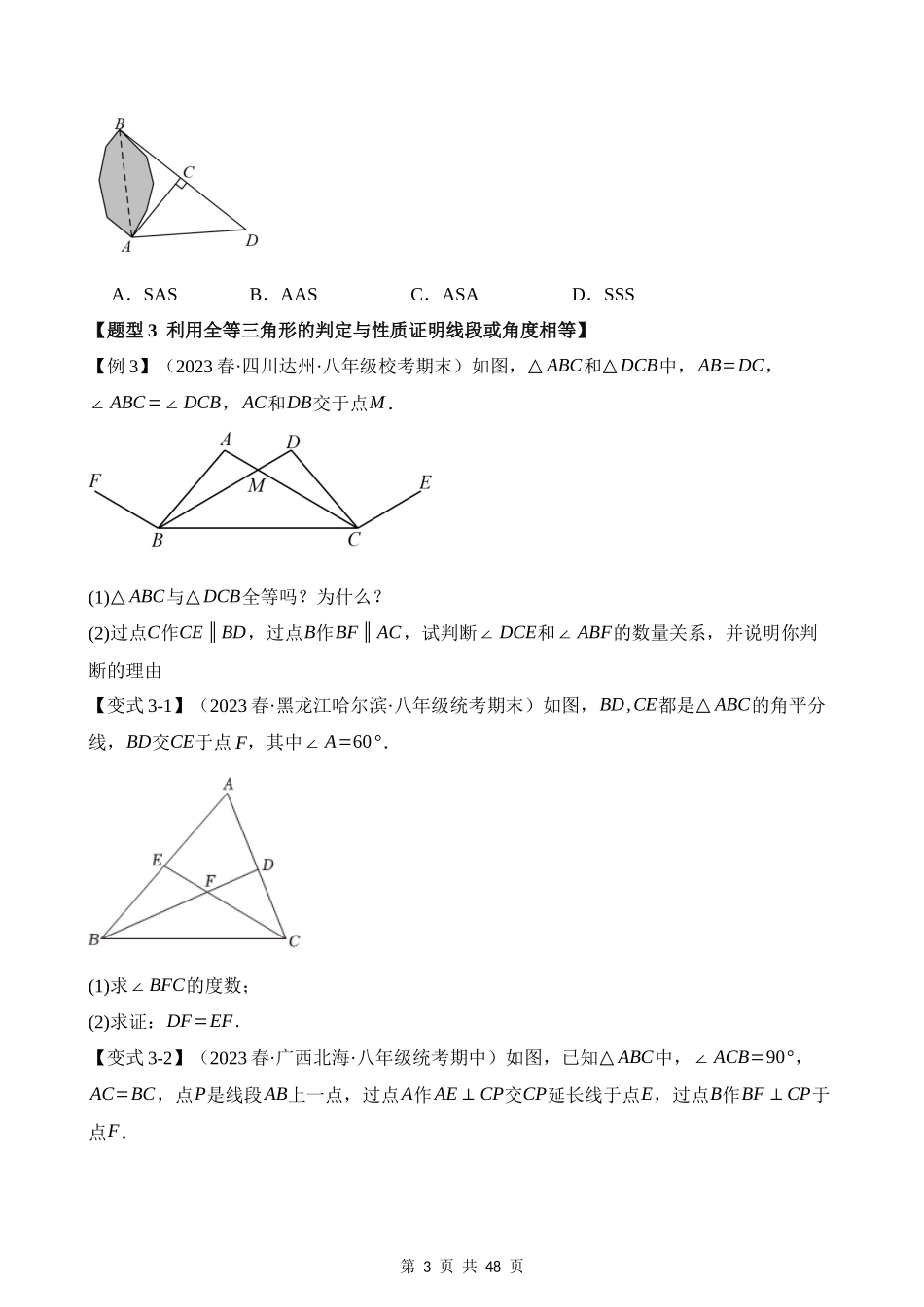 12-全等三角形-八大题型（培优）.docx_第3页