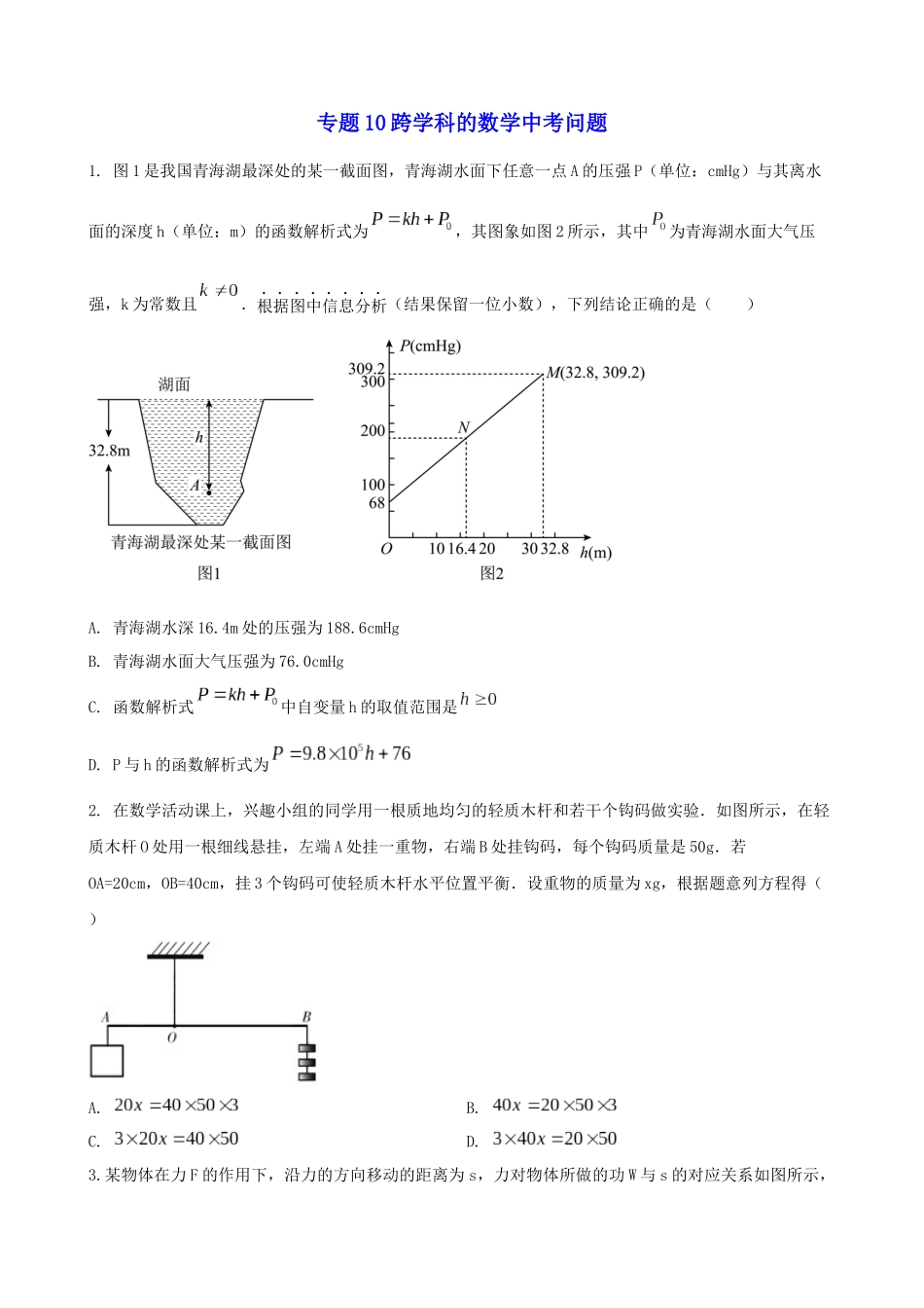 专题10_跨学科的数学中考问题.docx_第1页