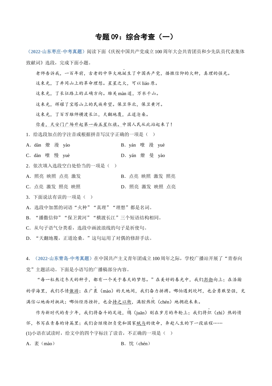 专题09_综合考查（一）_中考语文高频考点必刷题.docx_第1页