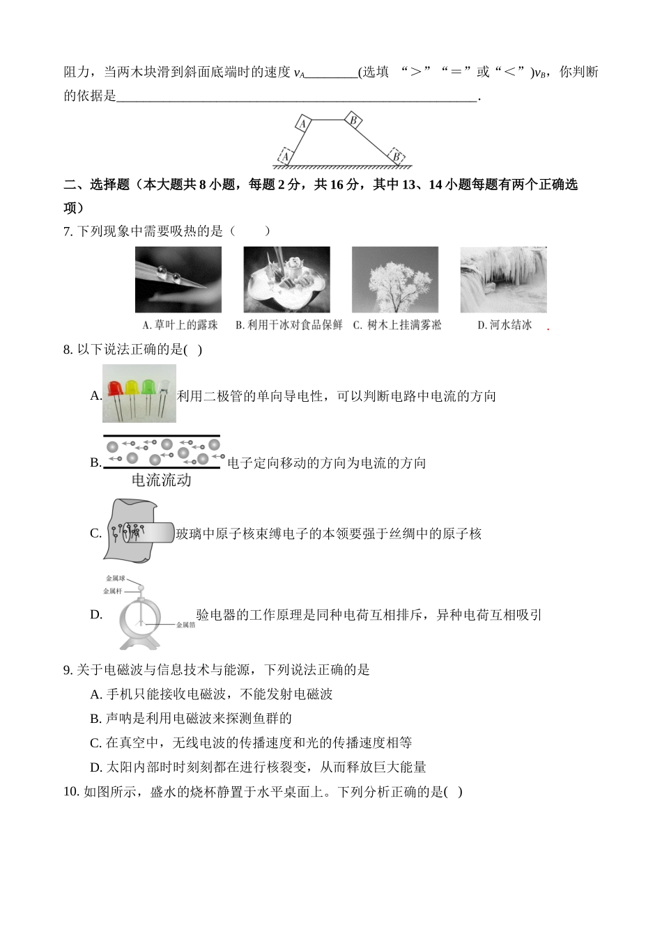 物理（河南卷）_中考物理.docx_第2页