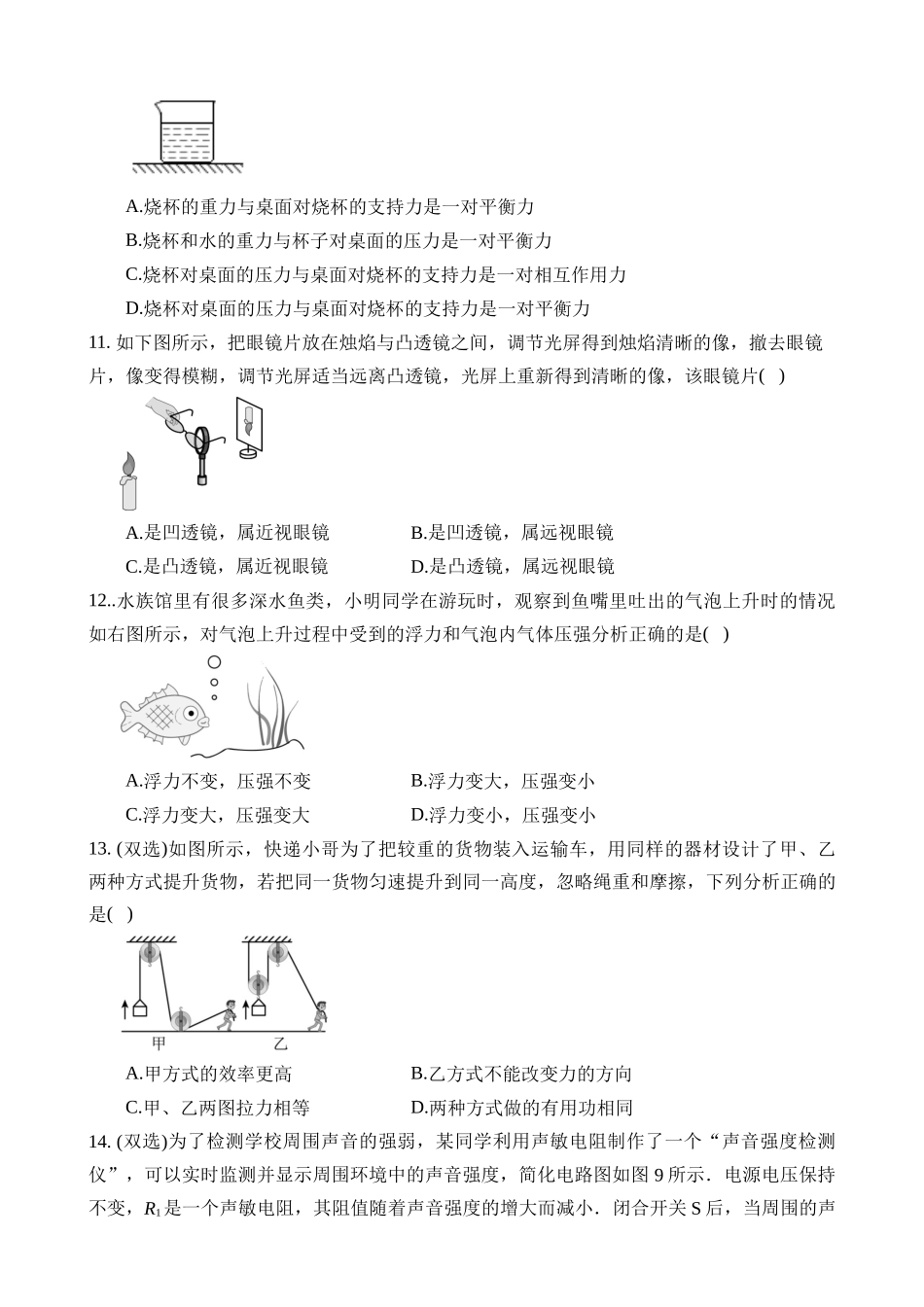 物理（河南卷）_中考物理.docx_第3页