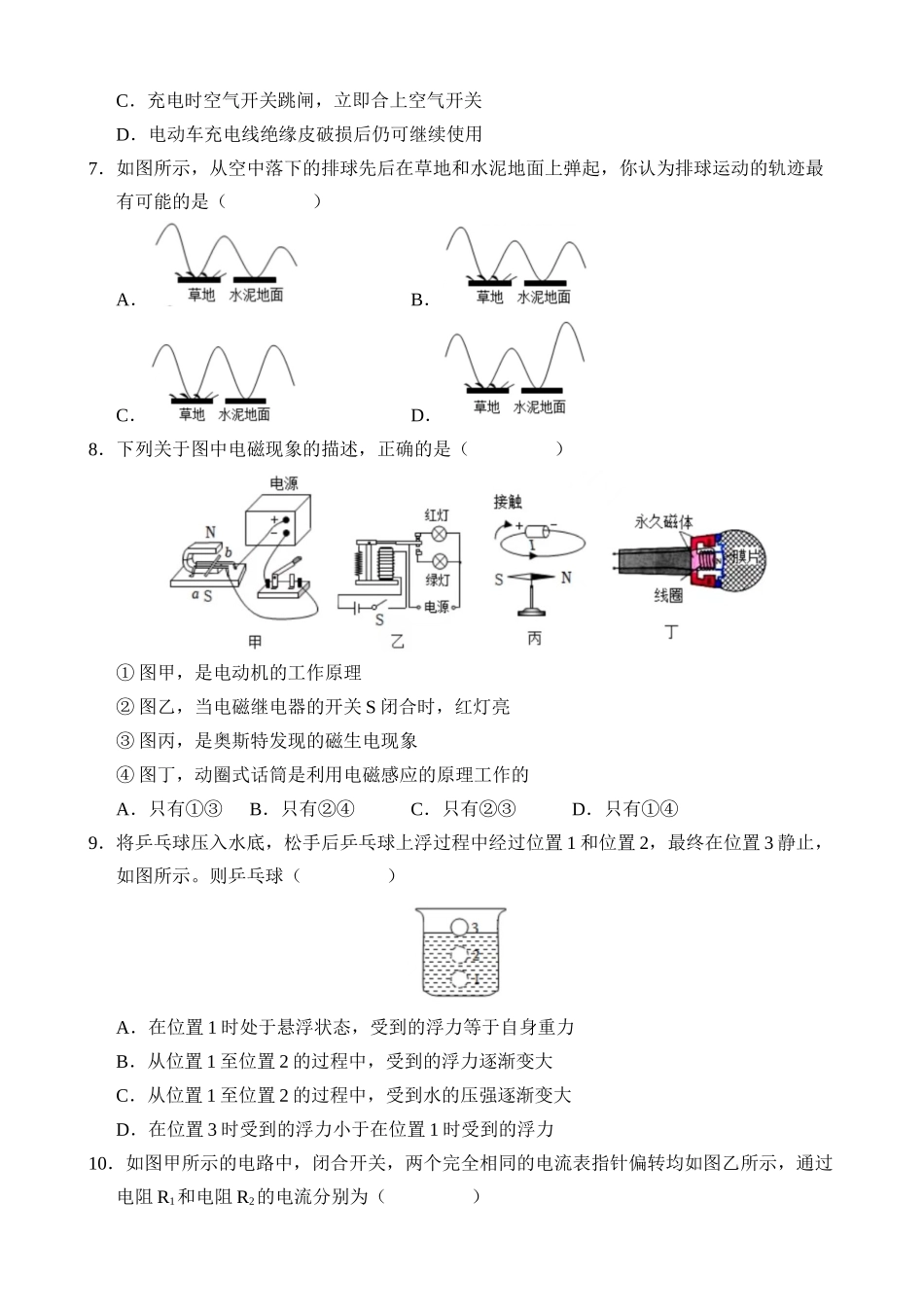 物理（山东卷）_中考物理 (1).docx_第2页
