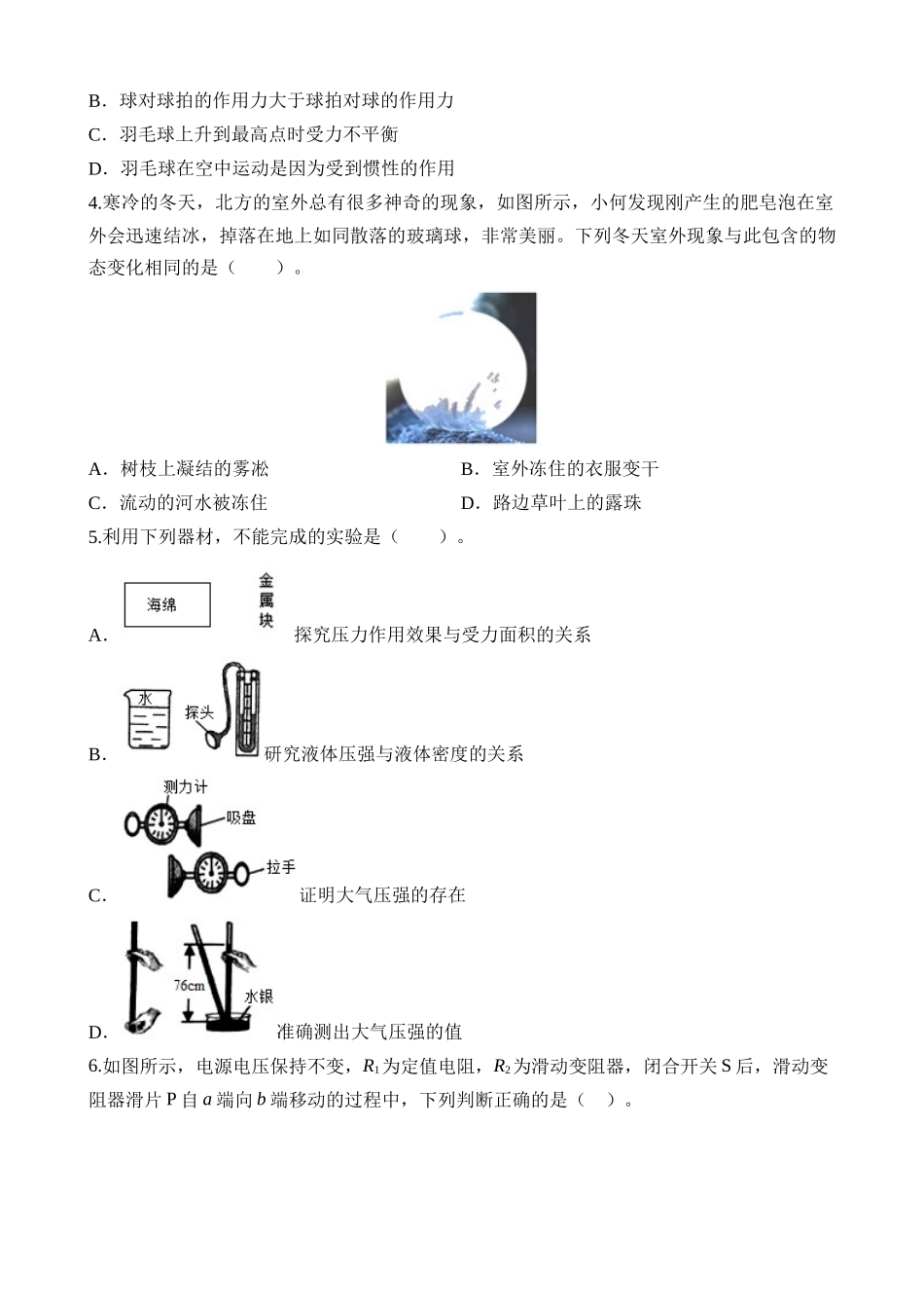 物理（全国卷）_中考物理 (1).docx_第2页