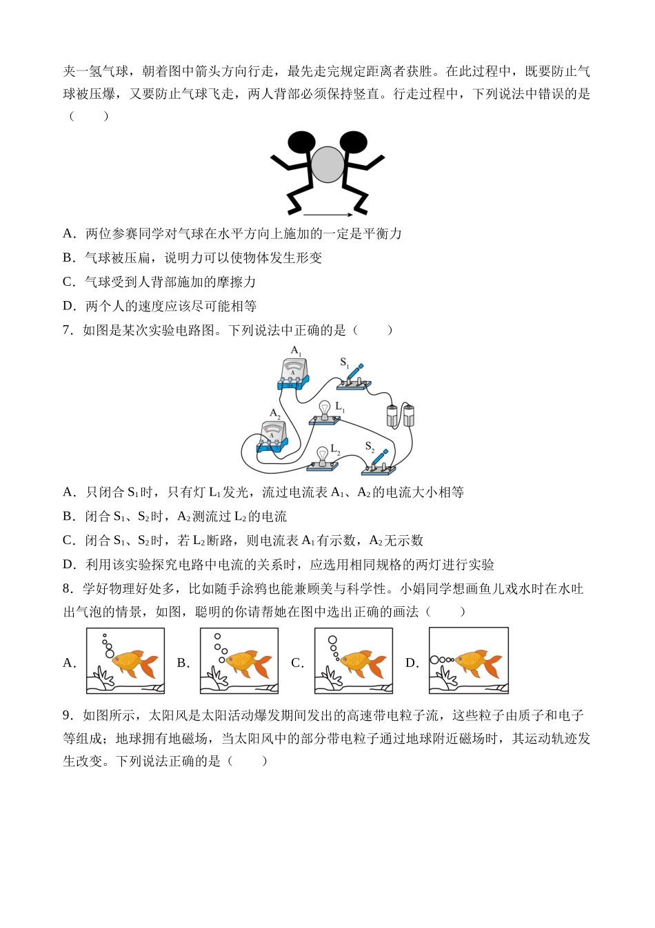 物理（山东济南卷）_中考物理.docx_第2页