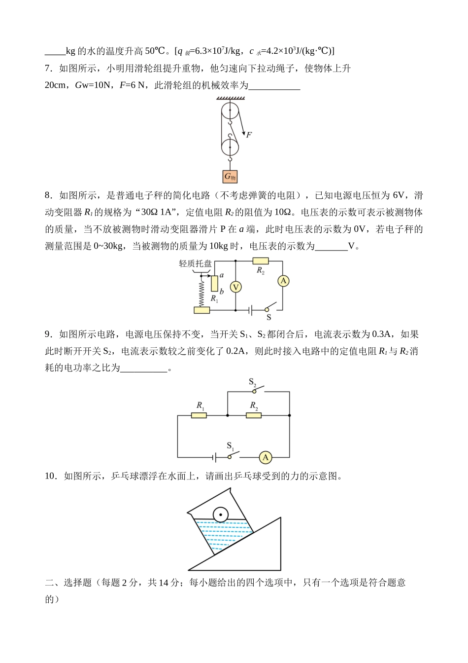 物理（安徽卷）_中考物理 (1).docx_第2页